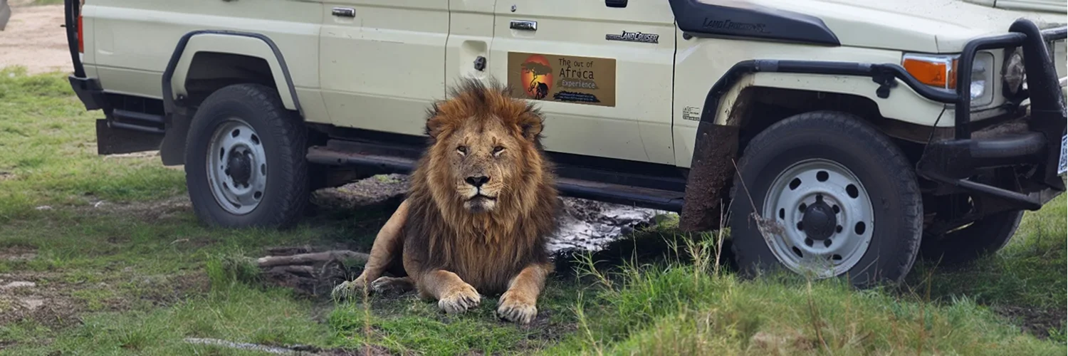 package hotel listing